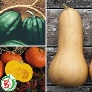 Winter Squash Collection Thumbnail